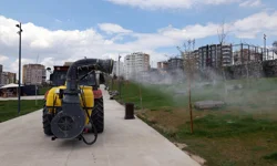 Kayseri Talas'ta haşeratla tam gaz mücadele
