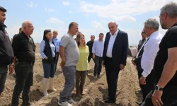 Konya'da patates atağı... İthal tohum dönemi sona eriyor