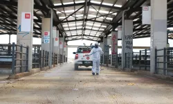 Osmangazi'de kurban pazarları ilaçlanarak dezenfekte edildi