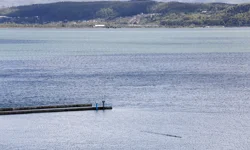 Sapanca Gölü'ne 5 günde 2 aylık içme suyu taşındı