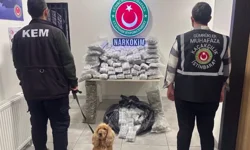 Zehir tacirlerine darbe! 659 kilo uyuşturucu ele geçirildi
