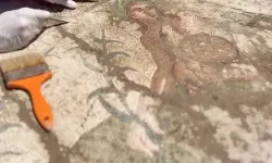 Aspendos'ta tarihi keşif... Eurymedon Nehri mozaiği gün yüzüne çıkarıldı