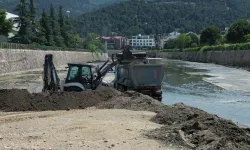 Bursa Nilüfer Çayı'nda temizlik çalışmaları tamamlandı