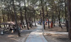 Bursa'da ormanlara giriş yasağı 15 Ekim'e kadar sürecek