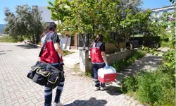 Denizli Büyükşehir Türkiye'de bir ilki başardı