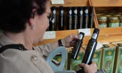 Dorlion Zeytinyağı bilimsel araştırmayla kalitesini kanıtladı