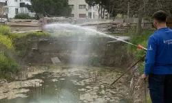 İzmir'de sivrisineğe karşı dev mücadele