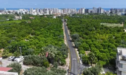 Mersin'de Mezitli ve Toroslar'da yollar yenilendi