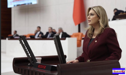 Giresun Milletvekili Gezmiş'ten TBMM'de Eğitim çıkışı!
