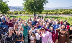 İzmir'de kadın üreticilerden hasat sevinci