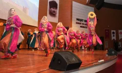 Kuzey Kafkasya Kültür ve Sanat Festivali'nde renkli görüntüler