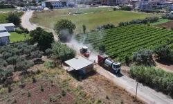 Manisa Ahmetli'ye 8 kilometrelik asfalt