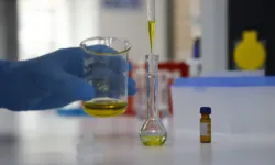 Muğla'nın gıda güvencesi uluslararası standartta