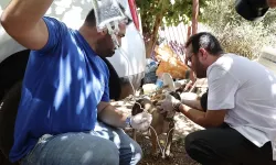 Antalya Büyükşehir yaraları sarmak için yangın bölgesinde