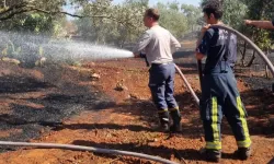 Büyükşehir İtfaiyesi Antalya'da Orman yangınlarıyla mücadele ediyor!