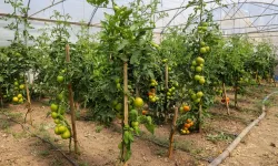 Eskişehir'de Çiftçi Destekleme ve Eğitim Merkezi kuruluyor