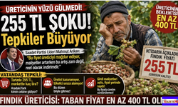 Fındıkta 255 TL Şoku! Üretici 'En Az 400 TL' diyor; Vatandaş tepkili...