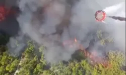 Muğla'da başlayıp Kaş'a sıçradı! Müdahale sürüyor
