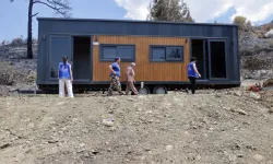 Muğla'da yangının yaraları sarılıyor