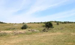 Bursa'da 2 bin 693 dekar alanda mera ıslahı yapılacak