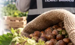 Fındık piyasasında mercek büyütüldü! Ordu ve Giresun'da müfettişler sahada