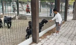 Hayvanat Bahçesi'nde 30 Ağustos bereketi