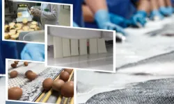 IPARD-III kapsamında 844,5 milyon TL'lik hibe ödemesi