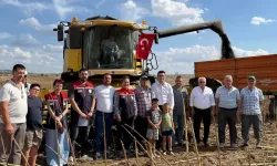İpsala'da ayçiçeği hasadı heyecanı