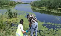 Yaz aylarında Gediz'de kirlilik yükselişe geçti