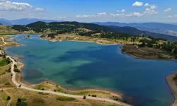 COP31 için Türkiye'den özel İngilizce şarkı