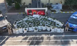 Diyarbakır'da 2 ton 200 kilo esrar ele geçirildi