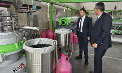 Manisa'da zeytin üreticisi isyanda