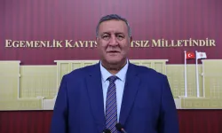 Ömer Fethi Gürer'den bütçe değerlendirmesi