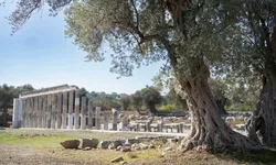 Teos'un taşları 2 bin 200 yıllık tarihi gün yüzüne çıkarıyor
