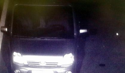 Gendarmerie chases cattle stealers in Aegean province