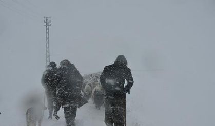 In Photos: Herds stuck in snow saved by villagers, teams