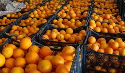 Rusya'ya ihraç edemediği portakalları Iğdır'da satıyor