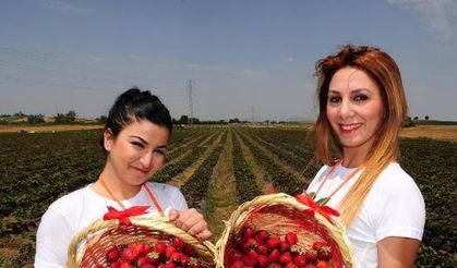 Meyve ihracatçısının lojistik sorununa 'kargo uçak' önerisi