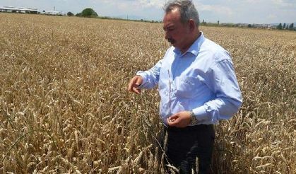 CHP'li Nurlu: Çiftçiye yine bayram müjdesi yok
