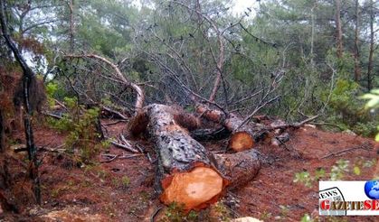 Controversial wind power plant project halted in Aegean province after villagers’ protests