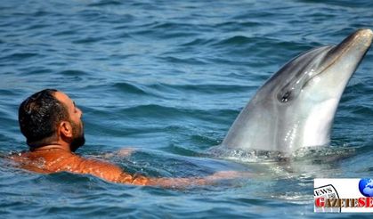 Dolphins surprise, play with tourists in Marmaris