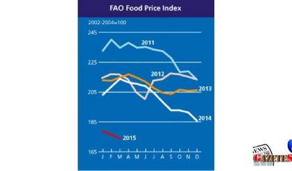 Global food prices fall to 5-year low levels in April (2)