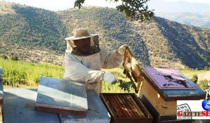 Local quits smoking, make apiculture business with the saved money