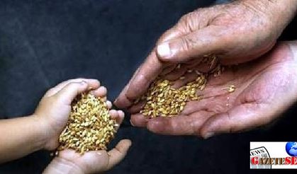 Seed bartering festival to revive natural richness of İzmir