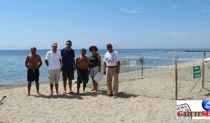 Surprisal visit of Caretta Carettas revealed by new nesting ground in Aegean beaches