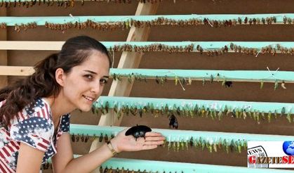 (Video) “Butterfly Park” opens doors to visitors in Antalya