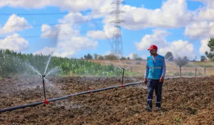 Tarım politikaları ve açlık.