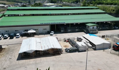 Kurban Bayramı öncesi alanlar tahsis ediliyor