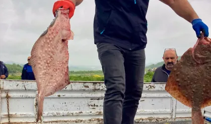 Karadeniz'de yasa dışı avcılığa geçit yok!