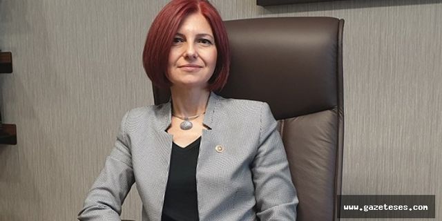 Emine Gülizer Emecan'dan çok sert bütçe eleştirisi
